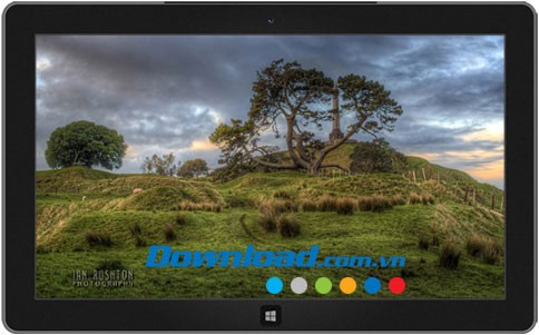 New Zealand Landscapes: One Tree Hill theme