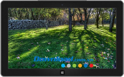 New Zealand Landscapes: One Tree Hill theme