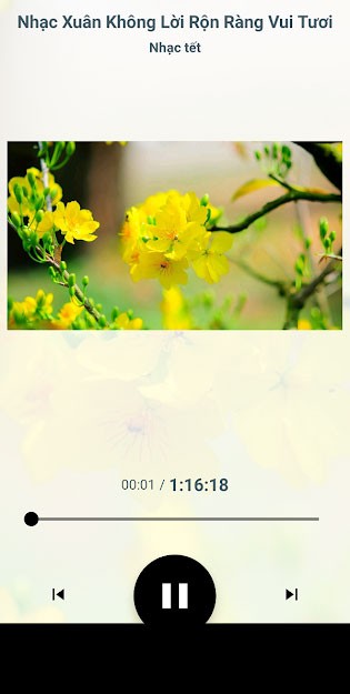 Nhac xuan Tet 2022 cho Android 3*340348