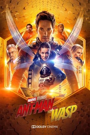 Poster Ant Man and the Wasp