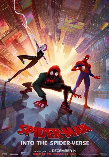Spider Man Into the Spider Verse 26
