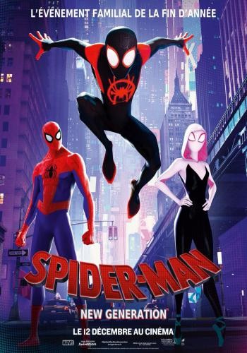 Spider Man Into the Spider Verse 13