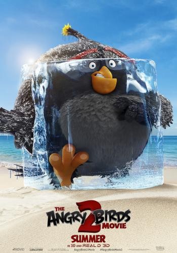 The Angry Birds Movie 2 6