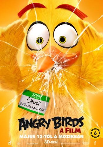 The Angry Birds Movie 6