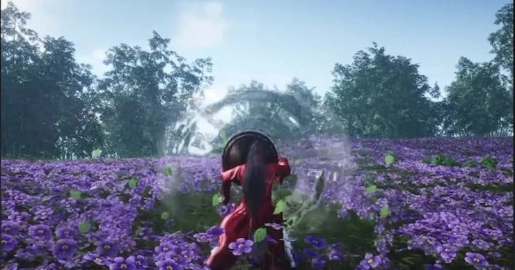 Lion's Roar - Tiếng gầm sư tử