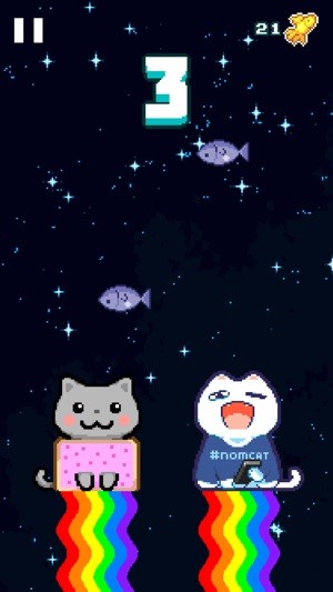 Nhiều con mèo độc đáo khác nhau