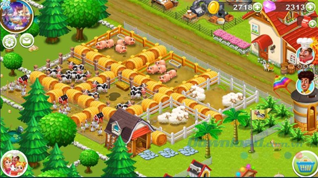 Chăn nuôi lợn, gà