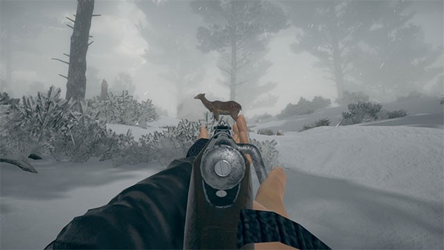 Tích cực kiếm nguồn cung cấp, săn bắn, hái lượm... để giúp nhân vật sống sót càng lâu càng tốt