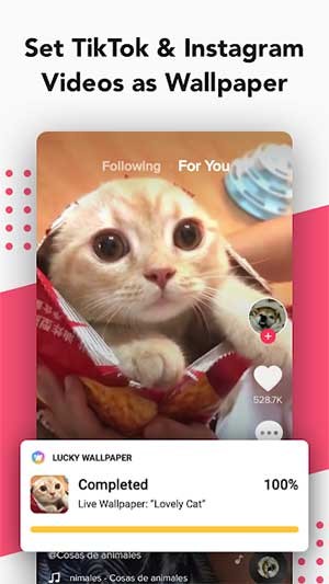 Cài video TikTok và Instagram làm hình nền