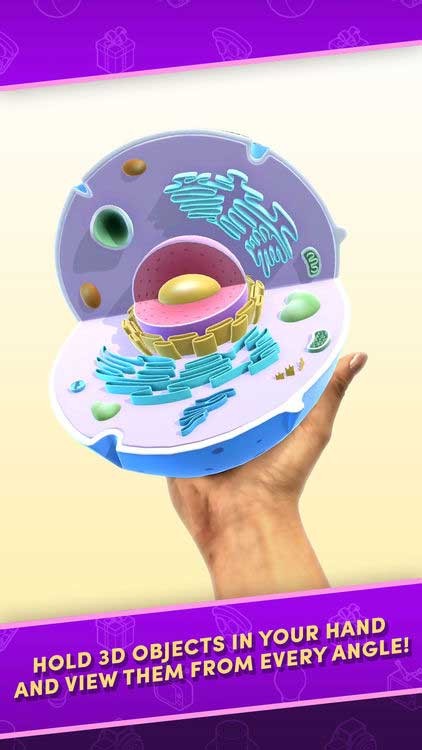 Cầm vật thể trên tay và quan sát đối tượng từ nhiều góc độ khác nhau