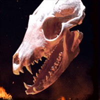 Occult - Game Săn Ma Lạnh Gáy