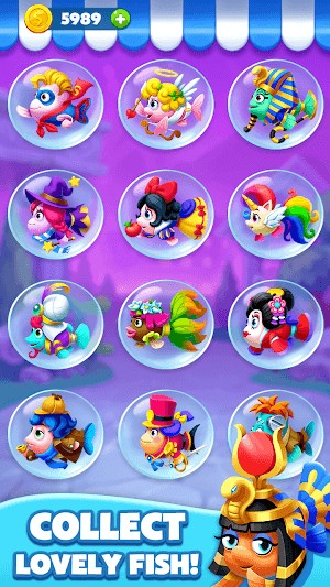 Thu thập những con cá đáng yêu