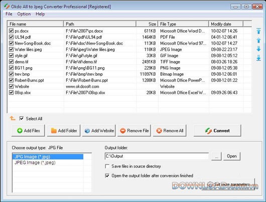 Okdo All to Jpeg Converter Professional