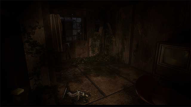 Thực hiện một nghi lễ bí ẩn trong khi tìm hiểu về hồn ma và lịch sử của Okugafuchi