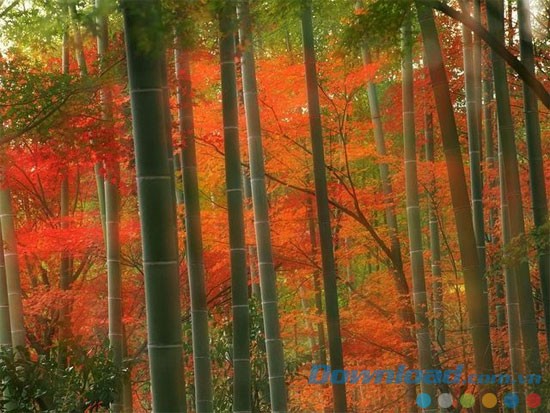 Old Japan Free Screensaver