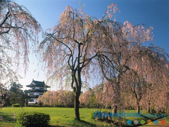 Old Japan Free Screensaver