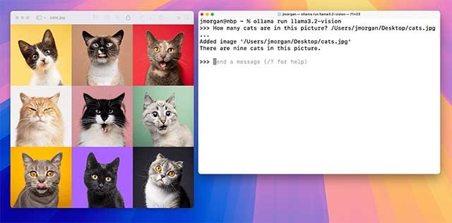 Ollama cho phép chạy LLM trực tiếp trên máy mà không cần mạng