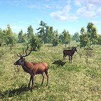 On the Hunt Demo - Trải nghiệm game mô phỏng săn thú chân thực