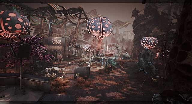 Tận hưởng vẻ đẹp huyền bí ngoài không gian