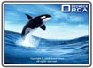 Orca Browser 1.1 - Download & Review