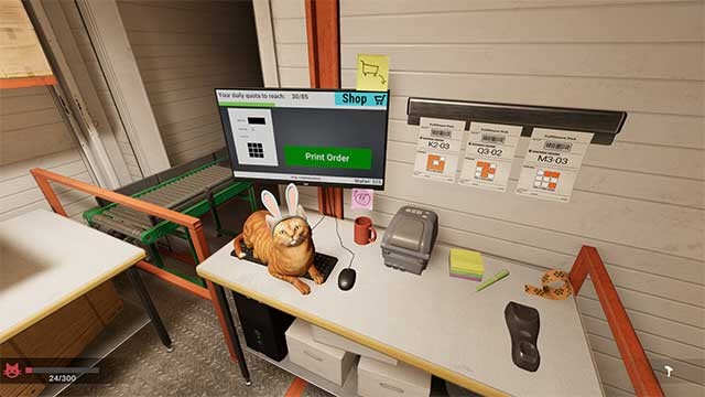 Dùng một phần tiền lương để mua đồ chơi cho mèo