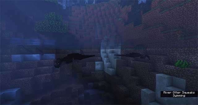 Rái cá là loài bán thủy sinh, thích chơi trên cạn và dưới nước