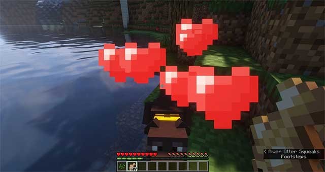 Bạn có thể thuần hóa Rái cá bằng cách cho chúng ăn cá tuyết hoặc cá hồi