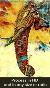 Chọn độ phân giải và tỷ lệ khung hình