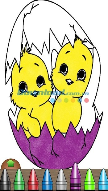 Các loại bút màu với kích cỡ đa dạng