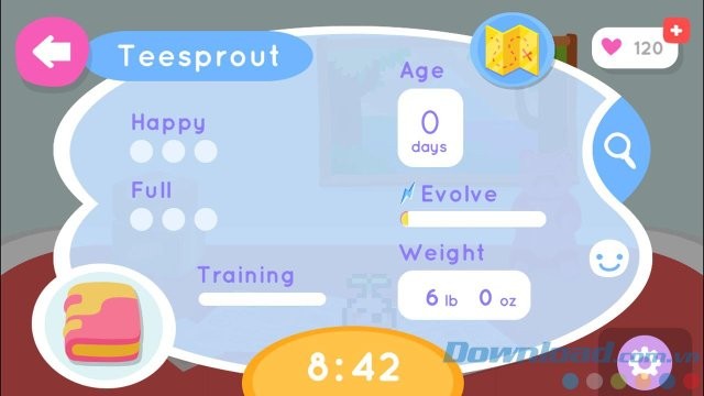 Đồng hành cùng pet