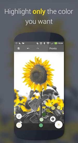 Chỉ làm nổi bật màu sắc mà bạn muốn