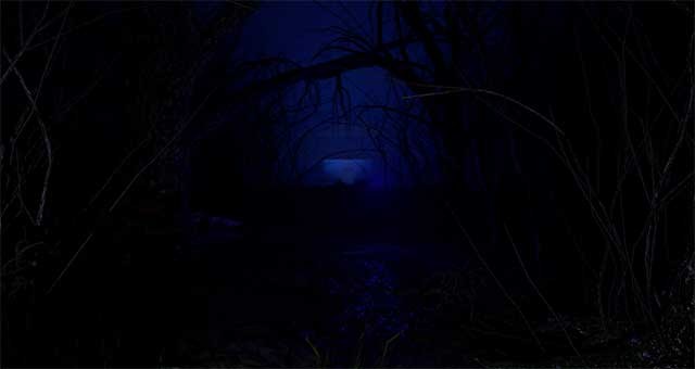 Chơi một mình hoặc với tối đa 4 người trong Pamali game