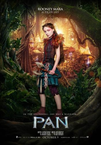 Pan 8