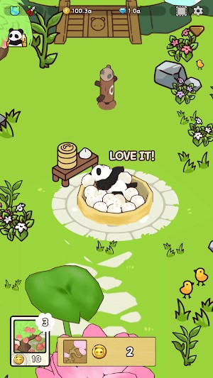 Panda and Bamboo Forest cho bạn thư giãn cùng gấu trúc đáng yêu