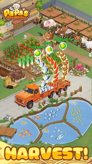 Thu hoạch cây trồng ở sân sau