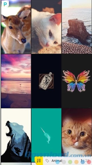 Ảnh nền HD cho iPhone, iPad