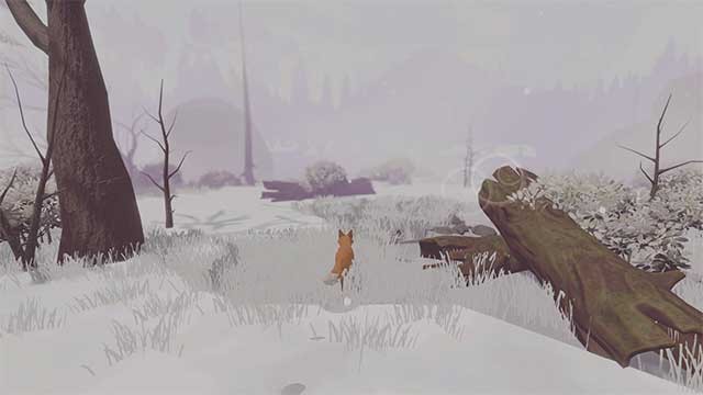 Dùng thời gian và các mùa để tìm lại những mảnh ký ức