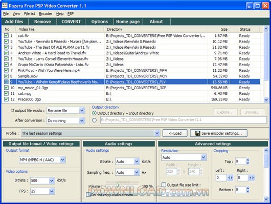 Pazera Free PSP Video Converter
