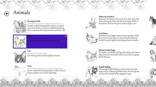 Học vẽ tranh cơ bản và theo các chủ đề tĩnh vật phổ biến