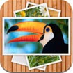 Perfect Collage for iPad - Phần mềm tạo ảnh cắt dán