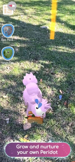 Nuôi nấng và phát triển các thú cưng Peridot đáng yêu của bạn