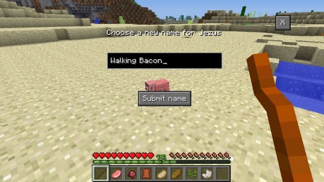 Tùy chỉnh Pet Buddy theo ý thích