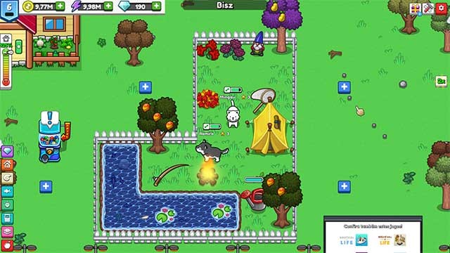 Chăm sóc khu vườn của bạn, tưới các loại cây và thu hoạch trái cây