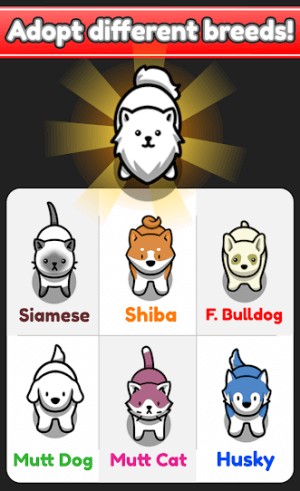 Nhận nuôi nhiều giống chó mèo khác nhau