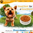 Mẫu Website Pet Shop, Thú Cưng Chuyên Nghiệp