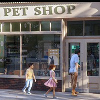 Pet Shop Simulator - Game Quản Lý Cửa Hàng Thú Cưng