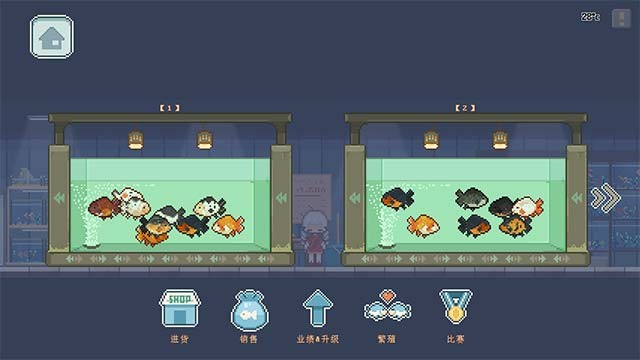 Cùng Xiaoli chăm sóc những chú cá vàng bằng bản năng sẵn có