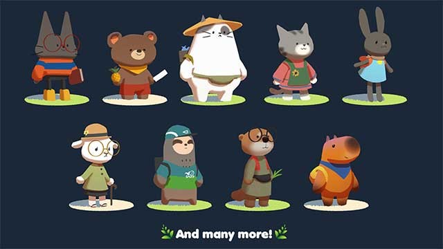 Gặp gỡ những người bạn mới và khách du lịch trên đảo