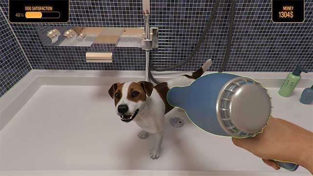 Chăm sóc và dành thời gian vui chơi với pet