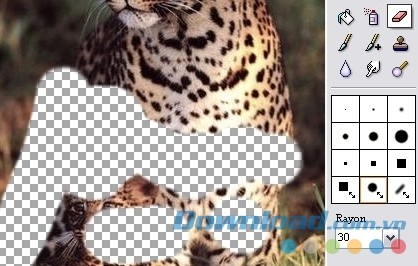 Công cụ cục tẩy của PhotoFiltre 7